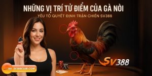 Những vị trí tử điểm của gà nòi – Yếu tố quyết định trận chiến SV388